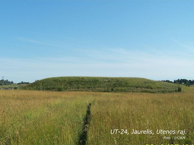 UT-24