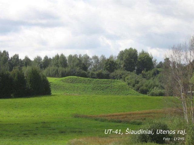 UT-41