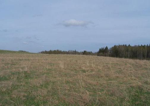 TE-43-1